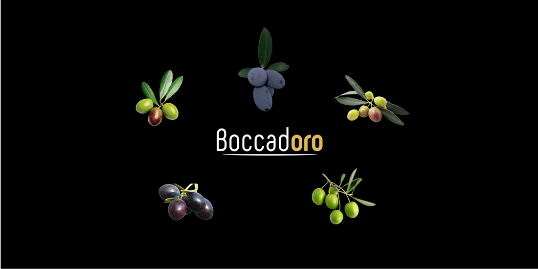 Boccadoro Olive Varieties